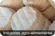 Industrie agroalimentaire